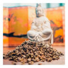 Western Immortal - Organic Ti Kuan Yin loose tea | Be So Well