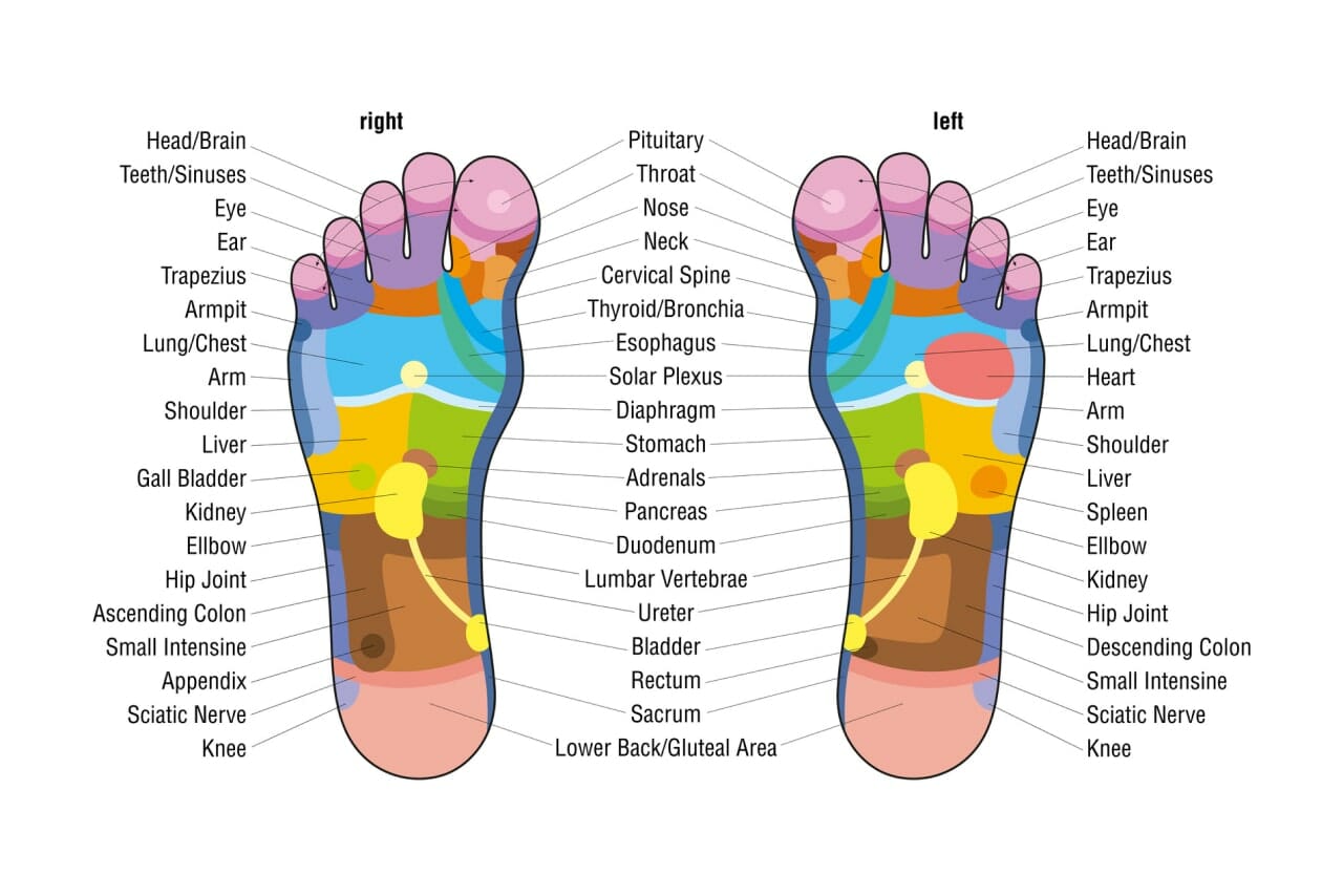 Foot reflexology - organs to pressure point diagram