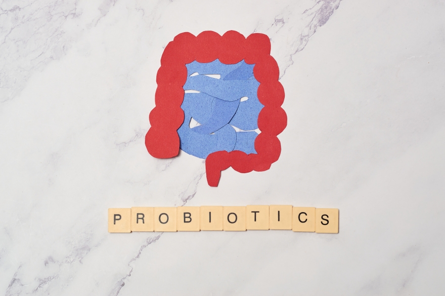 Probiotics The Gut Friendly Bacteria